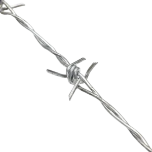 Barbed Wire