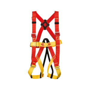 Harness Belt (Full-Half)